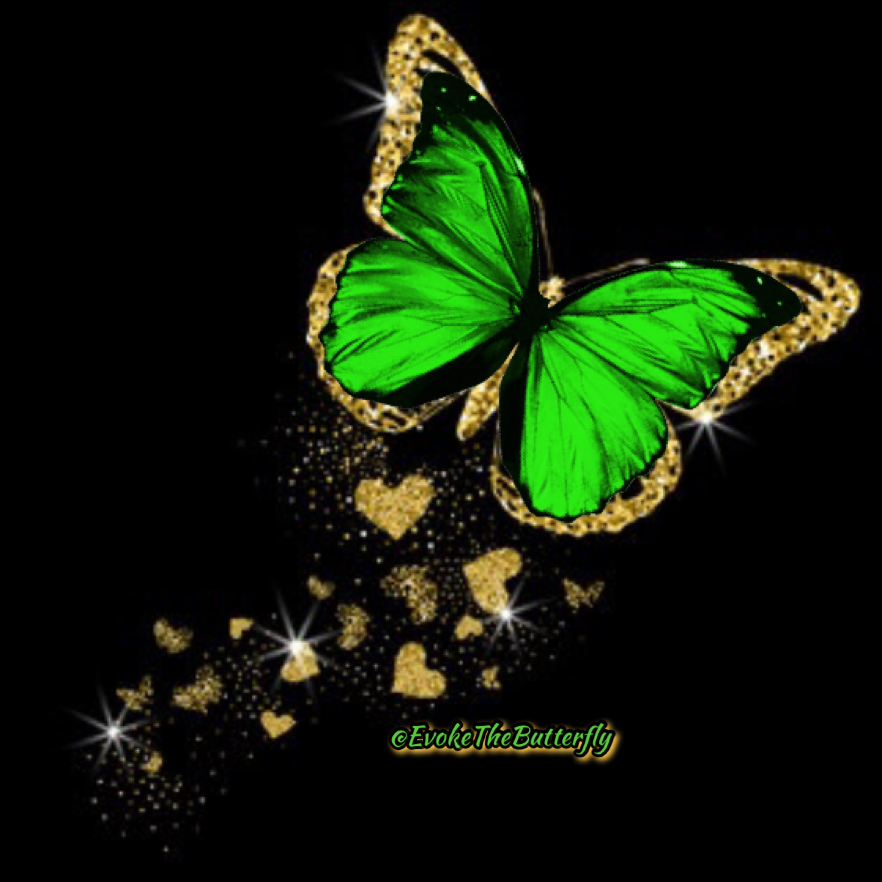 evokethebutterfly